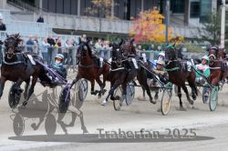 Dateiname=20251012_r08c_045_R08_0563.jpg
Dateigröße=308KB
Abmessungen: 1000x667
hinzugefügt am: 14. Oktober 2025 20251012_r08c_045_R08_0563.jpg