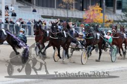 Dateiname=20251012_r08c_046_R08_0566.jpg
Dateigröße=312KB
Abmessungen: 1000x667
hinzugefügt am: 14. Oktober 2025 20251012_r08c_046_R08_0566.jpg