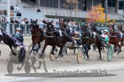 Dateiname=20251012_r08c_047_R08_0567.jpg
Dateigröße=320KB
Abmessungen: 1000x667
hinzugefügt am: 14. Oktober 2025 20251012_r08c_047_R08_0567.jpg