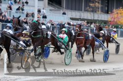 Dateiname=20251012_r08c_049_R08_0576.jpg
Dateigröße=327KB
Abmessungen: 1000x667
hinzugefügt am: 14. Oktober 2025 20251012_r08c_049_R08_0576.jpg