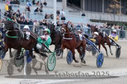 Dateiname=20251012_r08c_050_R08_0580.jpg
Dateigröße=312KB
Abmessungen: 1000x667
hinzugefügt am: 14. Oktober 2025 20251012_r08c_050_R08_0580.jpg