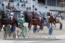 Dateiname=20251012_r08c_051_R08_0581.jpg
Dateigröße=316KB
Abmessungen: 1000x667
hinzugefügt am: 14. Oktober 2025 20251012_r08c_051_R08_0581.jpg