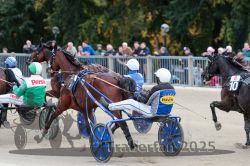 Dateiname=20251012_r08c_054_R08_0594.jpg
Dateigröße=319KB
Abmessungen: 1000x667
hinzugefügt am: 14. Oktober 2025 20251012_r08c_054_R08_0594.jpg