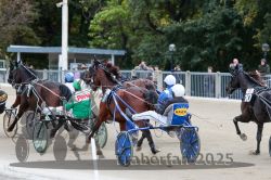 Dateiname=20251012_r08c_056_R08_0601.jpg
Dateigröße=334KB
Abmessungen: 1000x667
hinzugefügt am: 14. Oktober 2025 20251012_r08c_056_R08_0601.jpg