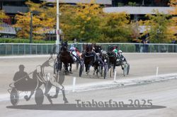 Dateiname=20251012_r08c_061_R08_0621.jpg
Dateigröße=295KB
Abmessungen: 1000x667
hinzugefügt am: 14. Oktober 2025 20251012_r08c_061_R08_0621.jpg