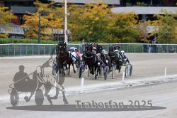 Dateiname=20251012_r08c_062_R08_0624.jpg
Dateigröße=297KB
Abmessungen: 1000x667
hinzugefügt am: 14. Oktober 2025 20251012_r08c_062_R08_0624.jpg