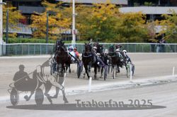 Dateiname=20251012_r08c_063_R08_0627.jpg
Dateigröße=295KB
Abmessungen: 1000x667
hinzugefügt am: 14. Oktober 2025 20251012_r08c_063_R08_0627.jpg