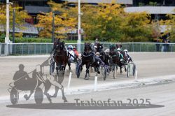 Dateiname=20251012_r08c_064_R08_0629.jpg
Dateigröße=303KB
Abmessungen: 1000x667
hinzugefügt am: 14. Oktober 2025 20251012_r08c_064_R08_0629.jpg