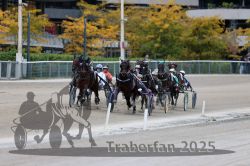 Dateiname=20251012_r08c_065_R08_0631.jpg
Dateigröße=294KB
Abmessungen: 1000x667
hinzugefügt am: 14. Oktober 2025 20251012_r08c_065_R08_0631.jpg