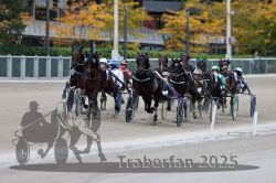 Dateiname=20251012_r08c_067_R08_0637.jpg
Dateigröße=300KB
Abmessungen: 1000x667
hinzugefügt am: 14. Oktober 2025 20251012_r08c_067_R08_0637.jpg