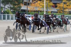 Dateiname=20251012_r08c_070_R08_0644.jpg
Dateigröße=306KB
Abmessungen: 1000x667
hinzugefügt am: 14. Oktober 2025 20251012_r08c_070_R08_0644.jpg