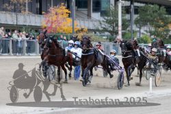 Dateiname=20251012_r08c_073_R08_0652.jpg
Dateigröße=311KB
Abmessungen: 1000x667
hinzugefügt am: 14. Oktober 2025 20251012_r08c_073_R08_0652.jpg