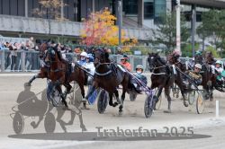 Dateiname=20251012_r08c_074_R08_0655.jpg
Dateigröße=315KB
Abmessungen: 1000x667
hinzugefügt am: 14. Oktober 2025 20251012_r08c_074_R08_0655.jpg