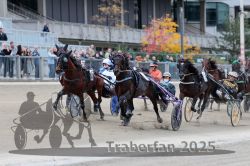 Dateiname=20251012_r08c_075_R08_0658.jpg
Dateigröße=299KB
Abmessungen: 1000x667
hinzugefügt am: 14. Oktober 2025 20251012_r08c_075_R08_0658.jpg