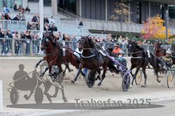 Dateiname=20251012_r08c_077_R08_0662.jpg
Dateigröße=319KB
Abmessungen: 1000x667
hinzugefügt am: 14. Oktober 2025 20251012_r08c_077_R08_0662.jpg