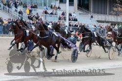 Dateiname=20251012_r08c_079_R08_0668.jpg
Dateigröße=337KB
Abmessungen: 1000x667
hinzugefügt am: 14. Oktober 2025 20251012_r08c_079_R08_0668.jpg