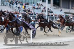 Dateiname=20251012_r08c_080_R08_0671.jpg
Dateigröße=330KB
Abmessungen: 1000x667
hinzugefügt am: 14. Oktober 2025 20251012_r08c_080_R08_0671.jpg