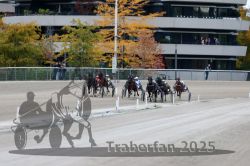 Dateiname=20251012_r08c_089_R08_0703.jpg
Dateigröße=299KB
Abmessungen: 1000x667
hinzugefügt am: 14. Oktober 2025 20251012_r08c_089_R08_0703.jpg