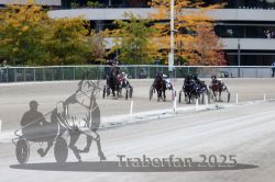 Dateiname=20251012_r08c_090_R08_0705.jpg
Dateigröße=296KB
Abmessungen: 1000x667
hinzugefügt am: 14. Oktober 2025 20251012_r08c_090_R08_0705.jpg