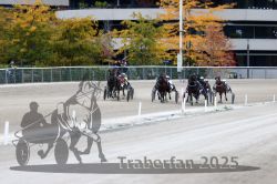 Dateiname=20251012_r08c_091_R08_0708.jpg
Dateigröße=320KB
Abmessungen: 1000x667
hinzugefügt am: 14. Oktober 2025 20251012_r08c_091_R08_0708.jpg