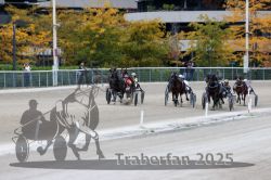 Dateiname=20251012_r08c_095_R08_0721.jpg
Dateigröße=328KB
Abmessungen: 1000x667
hinzugefügt am: 14. Oktober 2025 20251012_r08c_095_R08_0721.jpg