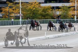 Dateiname=20251012_r08c_097_R08_0727.jpg
Dateigröße=328KB
Abmessungen: 1000x667
hinzugefügt am: 14. Oktober 2025 20251012_r08c_097_R08_0727.jpg