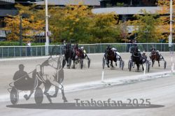 Dateiname=20251012_r08c_098_R08_0729.jpg
Dateigröße=320KB
Abmessungen: 1000x667
hinzugefügt am: 14. Oktober 2025 20251012_r08c_098_R08_0729.jpg