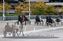 Dateiname=20251012_r08c_101_R08_0736.jpg
Dateigröße=303KB
Abmessungen: 1000x667
hinzugefügt am: 14. Oktober 2025 20251012_r08c_101_R08_0736.jpg