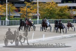 Dateiname=20251012_r08c_102_R08_0739.jpg
Dateigröße=328KB
Abmessungen: 1000x667
hinzugefügt am: 14. Oktober 2025 20251012_r08c_102_R08_0739.jpg