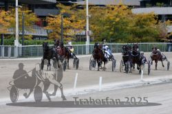 Dateiname=20251012_r08c_103_R08_0740.jpg
Dateigröße=314KB
Abmessungen: 1000x667
hinzugefügt am: 14. Oktober 2025 20251012_r08c_103_R08_0740.jpg