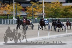 Dateiname=20251012_r08c_105_R08_0745.jpg
Dateigröße=297KB
Abmessungen: 1000x667
hinzugefügt am: 14. Oktober 2025 20251012_r08c_105_R08_0745.jpg