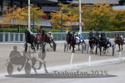 Dateiname=20251012_r08c_106_R08_0748.jpg
Dateigröße=302KB
Abmessungen: 1000x667
hinzugefügt am: 14. Oktober 2025 20251012_r08c_106_R08_0748.jpg