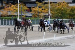 Dateiname=20251012_r08c_107_R08_0749.jpg
Dateigröße=295KB
Abmessungen: 1000x667
hinzugefügt am: 14. Oktober 2025 20251012_r08c_107_R08_0749.jpg