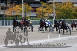 Dateiname=20251012_r08c_108_R08_0752.jpg
Dateigröße=287KB
Abmessungen: 1000x667
hinzugefügt am: 14. Oktober 2025 20251012_r08c_108_R08_0752.jpg