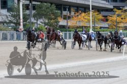 Dateiname=20251012_r08c_109_R08_0753.jpg
Dateigröße=295KB
Abmessungen: 1000x667
hinzugefügt am: 14. Oktober 2025 20251012_r08c_109_R08_0753.jpg