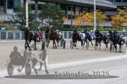 Dateiname=20251012_r08c_110_R08_0755.jpg
Dateigröße=307KB
Abmessungen: 1000x667
hinzugefügt am: 14. Oktober 2025 20251012_r08c_110_R08_0755.jpg