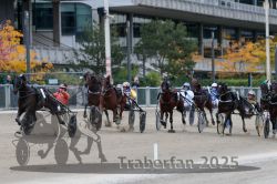 Dateiname=20251012_r08c_115_R08_0763.jpg
Dateigröße=303KB
Abmessungen: 1000x667
hinzugefügt am: 14. Oktober 2025 20251012_r08c_115_R08_0763.jpg