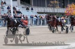 Dateiname=20251012_r08c_120_R08_0773.jpg
Dateigröße=304KB
Abmessungen: 1000x667
hinzugefügt am: 14. Oktober 2025 20251012_r08c_120_R08_0773.jpg