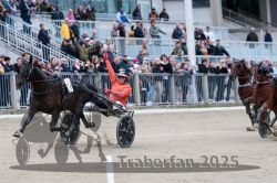 Dateiname=20251012_r08c_125_R08_0779.jpg
Dateigröße=310KB
Abmessungen: 1000x667
hinzugefügt am: 14. Oktober 2025 20251012_r08c_125_R08_0779.jpg