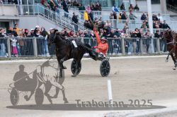 Dateiname=20251012_r08c_126_R08_0780.jpg
Dateigröße=302KB
Abmessungen: 1000x667
hinzugefügt am: 14. Oktober 2025 20251012_r08c_126_R08_0780.jpg