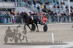 Dateiname=20251012_r08c_127_R08_0781.jpg
Dateigröße=297KB
Abmessungen: 1000x667
hinzugefügt am: 14. Oktober 2025 20251012_r08c_127_R08_0781.jpg