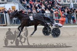 Dateiname=20251012_r08c_149_R08_0803.jpg
Dateigröße=297KB
Abmessungen: 1000x667
hinzugefügt am: 14. Oktober 2025 20251012_r08c_149_R08_0803.jpg