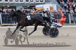 Dateiname=20251012_r08c_152_R08_0806.jpg
Dateigröße=289KB
Abmessungen: 1000x667
hinzugefügt am: 14. Oktober 2025 20251012_r08c_152_R08_0806.jpg