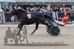 Dateiname=20251012_r08c_156_R08_0810.jpg
Dateigröße=273KB
Abmessungen: 1000x667
hinzugefügt am: 14. Oktober 2025 20251012_r08c_156_R08_0810.jpg