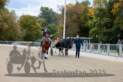 Dateiname=20251012_r08d_001_CR5_0358.jpg
Dateigröße=391KB
Abmessungen: 1000x667
hinzugefügt am: 14. Oktober 2025 20251012_r08d_001_CR5_0358.jpg