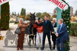 Dateiname=20251012_r08d_015_CR5_0396.jpg
Dateigröße=333KB
Abmessungen: 1000x667
hinzugefügt am: 14. Oktober 2025 20251012_r08d_015_CR5_0396.jpg