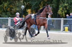 Dateiname=20251012_r09_002_R09_0010.jpg
Dateigröße=301KB
Abmessungen: 1000x667
hinzugefügt am: 15. Oktober 2025 20251012_r09_002_R09_0010.jpg