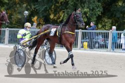 Dateiname=20251012_r09_003_R09_0013.jpg
Dateigröße=304KB
Abmessungen: 1000x667
hinzugefügt am: 15. Oktober 2025 20251012_r09_003_R09_0013.jpg