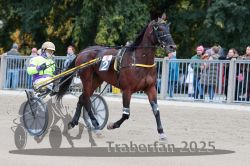 Dateiname=20251012_r09_004_R09_0017.jpg
Dateigröße=310KB
Abmessungen: 1000x667
hinzugefügt am: 15. Oktober 2025 20251012_r09_004_R09_0017.jpg