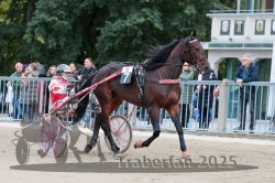 Dateiname=20251012_r09_007_R09_0032.jpg
Dateigröße=315KB
Abmessungen: 1000x667
hinzugefügt am: 15. Oktober 2025 20251012_r09_007_R09_0032.jpg